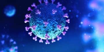 قفيروس كورونا :أبحاث جديدة لدراسة أعراض ما بعد الشفاء وتوصيات لمرحلة التعافي..
