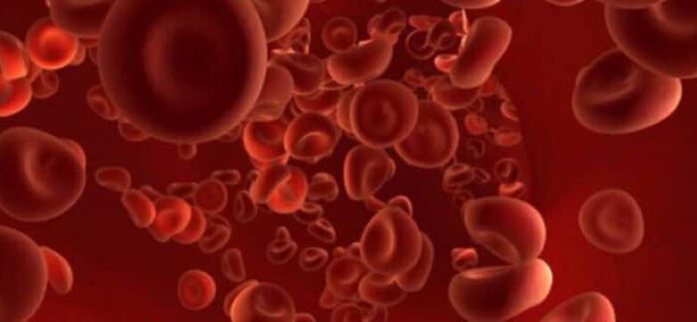 كرات الدم الحمراء تحوي هيموجلوبين غير طبيعي أو غير كافي في حالات أنيميا البحر المتوسط