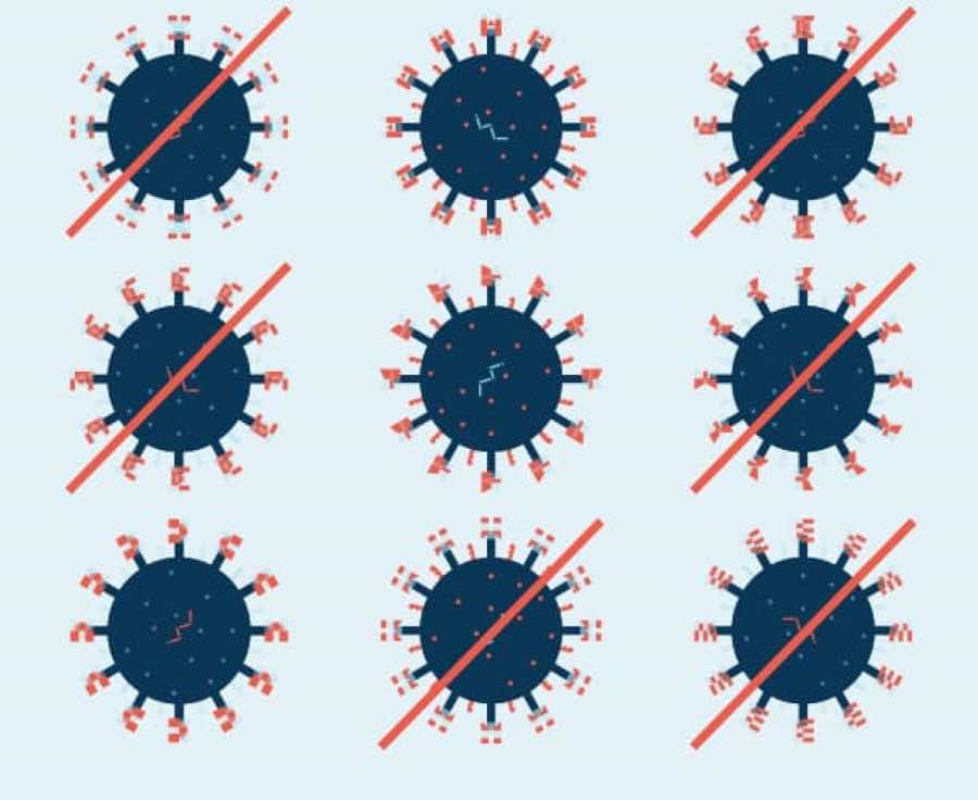 يمكن أن يختار العلماء ثلاثة سلالات فيروسية متوقعة ليتضمنهم لقاح الإنفلونزا الموسمية (لقاح ثلاثي)