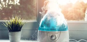 الأجهزة المرطبة للجو (humidifier)