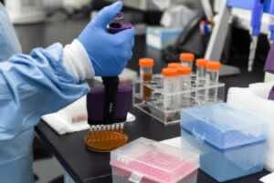 إختبارات فيروس كورونا في معامل الإمارات العربية المتحدة 