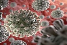 نصيحة عن فيروس كورونا (5) |اعراض مختلفة لفيروس كورونا المتحور من المهم أن تعرفها