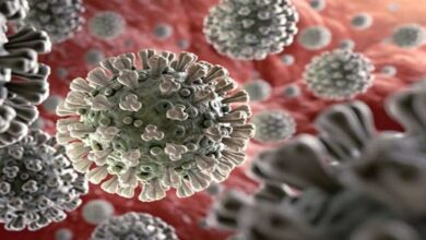 نصيحة عن فيروس كورونا (5) |اعراض مختلفة لفيروس كورونا المتحور من المهم أن تعرفها