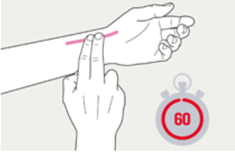 يمكن قياس النبض باستخدام اصبعي السبابة والوسطى للضغط على الشريان في المنطقة الموضحة بالصورة، وعد النبضات في الدقيقة