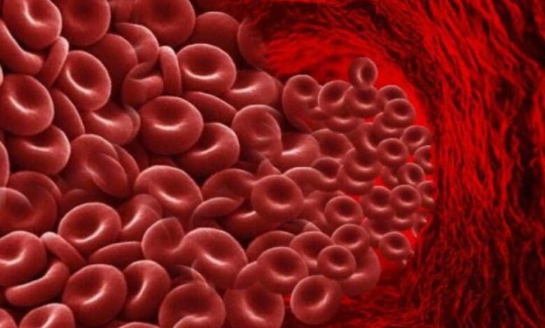 بنك المعرفة (4) | هل تعلم كم لتر من الدم تحوي أجسامنا؟ ومتى يبدأ تأثر الجسم بنزف الدم؟