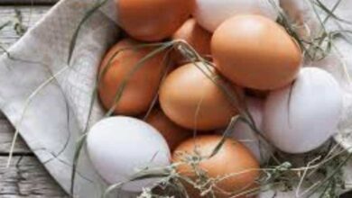 بنك المعرفة (9) | ما الفرق بين البيض الأبيض والأحمر بالقيمة الغذائية؟وما الحد الآمن لتناول البيض؟