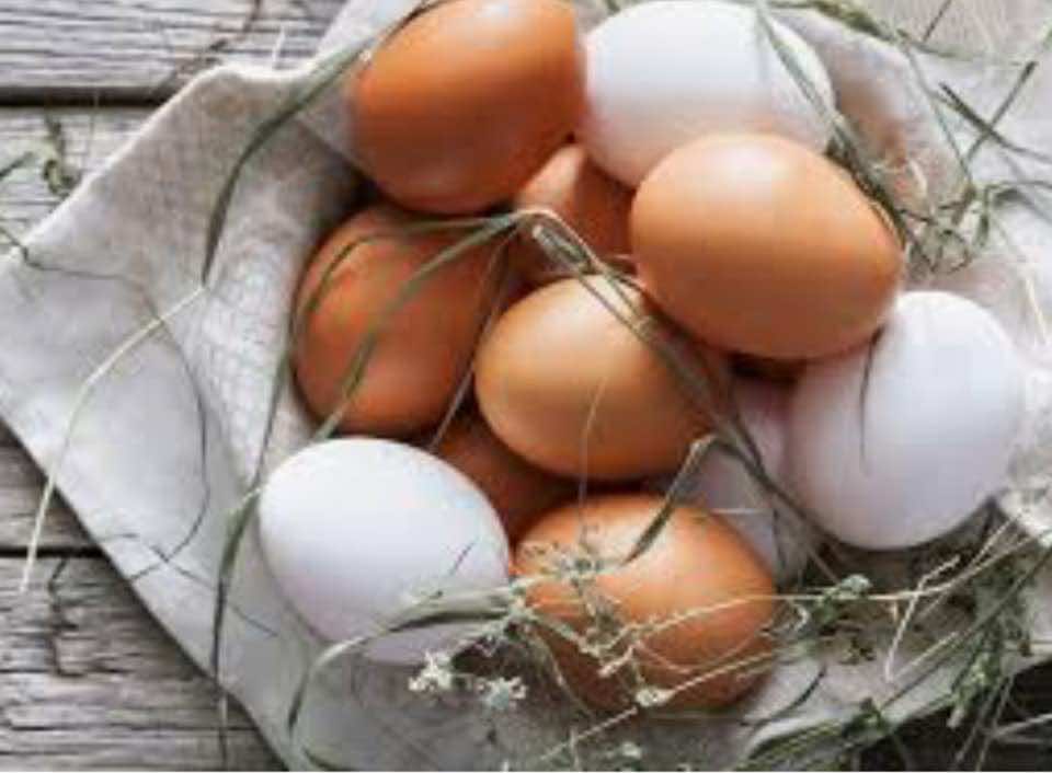 بنك المعرفة (9) | ما الفرق بين البيض الأبيض والأحمر بالقيمة الغذائية؟وما الحد الآمن لتناول البيض؟