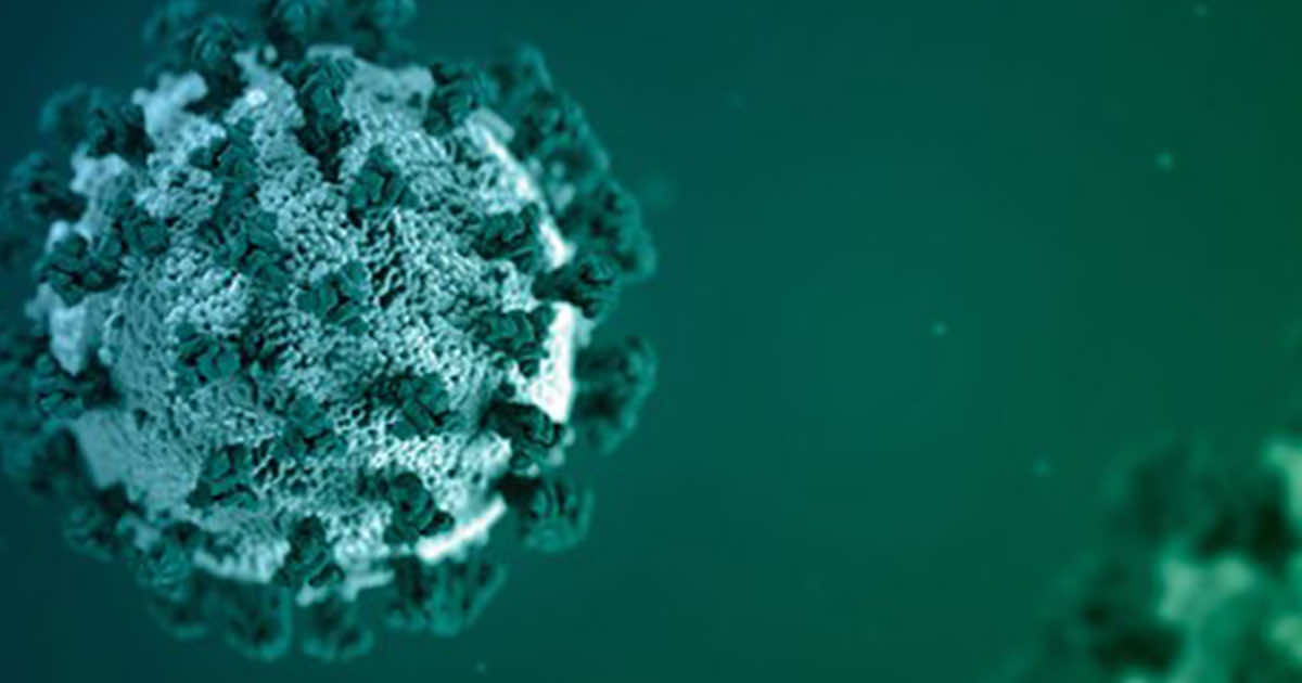 فيروس كورونا: مرضى كوفيد-19 ذوي المناعة الضعيفة قد يكونوا قادرين على نشر العدوى لأشهر..دراسة