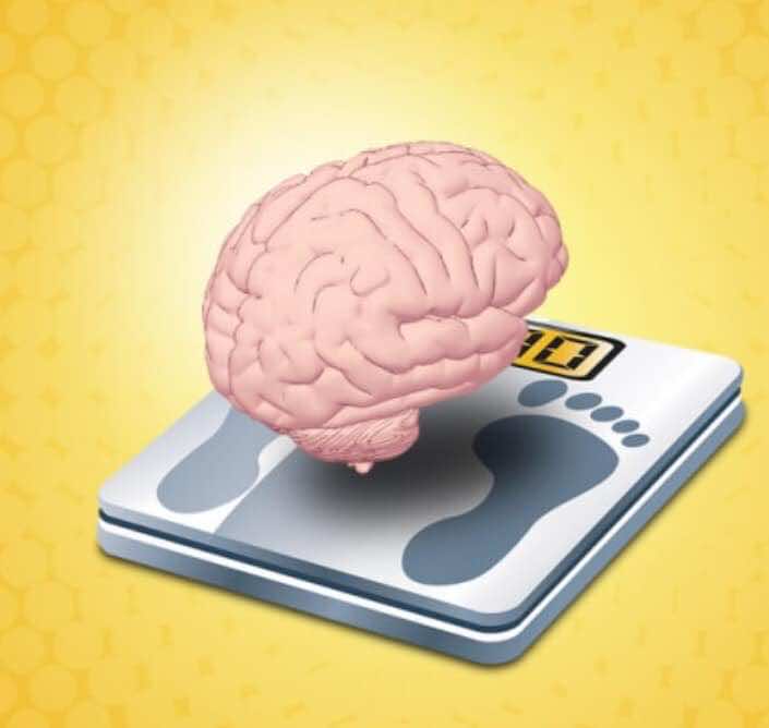 لا يمكننا الاعتماد على وزن المخ في تحديد قدرات التفكير