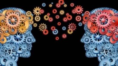 بنك المعرفة (14) | وزن المخ في الرجال أكبر مما هو في النساء.. فهل يؤثر ذلك على قدرات التفكير؟