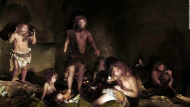 بنك المعرفة (20) | جينات الإنسان البدائي قد تفسر مناعة البعض ضد الفيروسات الخطيرة ومنها كورونا