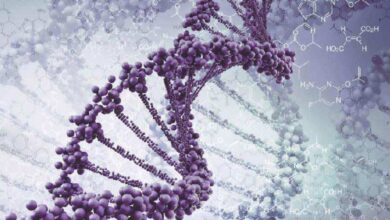 بنك المعرفة (29) | هل يمكن علاج الأمراض الوراثية؟