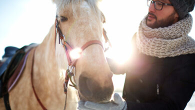 ما هو العلاج بالخيول؟ وكيف يمكن أن يساعدك حصان على تخطي أزمة نفسية؟ - شيزلونج