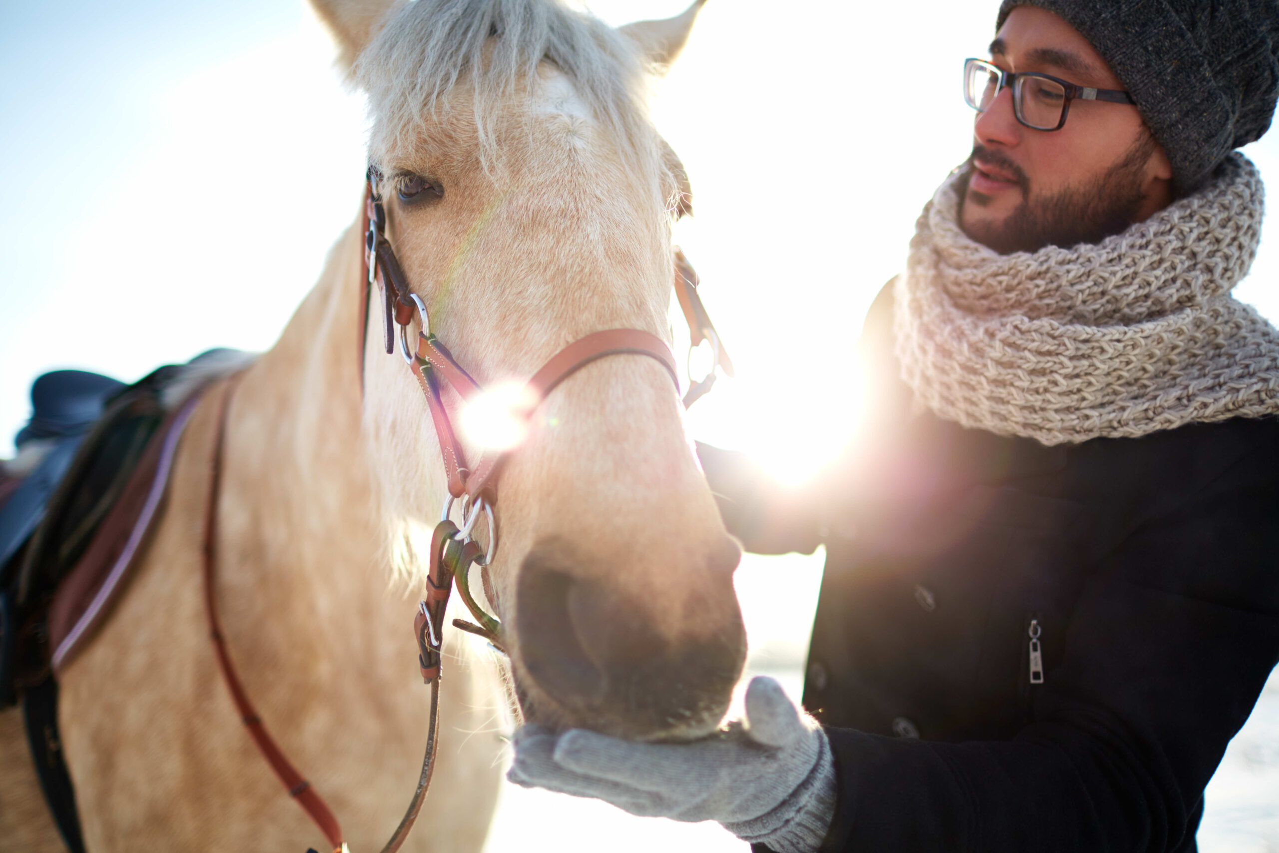 ما هو العلاج بالخيول؟ وكيف يمكن أن يساعدك حصان على تخطي أزمة نفسية؟ - شيزلونج