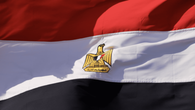 وزارة الصحة المصرية | تزايد مستمر في أعداد حالات كوفيد-19 - منحنى كورونا في مصر