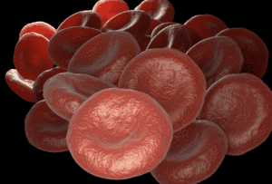 كريات الدم الحمراء التي تحوي الهيموجلوبين اللازم لتوصيل الأكسجين للخلايا - انيميا نقص الحديد
