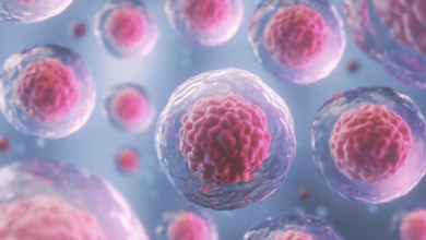 كيف تتم زراعة الخلايا الجذعية و زراعة النخاع العظمي؟ 5 خطوات - شرح مبسط