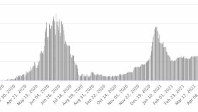 وزارة الصحة المصرية | تزايد مستمر في أعداد حالات كوفيد-19 ضمن الموجة الثالثة - منحنى كورونا في مصر