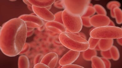 انيميا البحر المتوسط | 6 أعراض أساسية للشخص المريض و ماذا يعني حامل الثلاسيميا؟