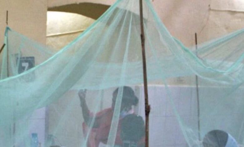 حمى الضنك قد تكون السبب وراء قتل العشرات بالهند في أسوأ تفشي منذ أعوام