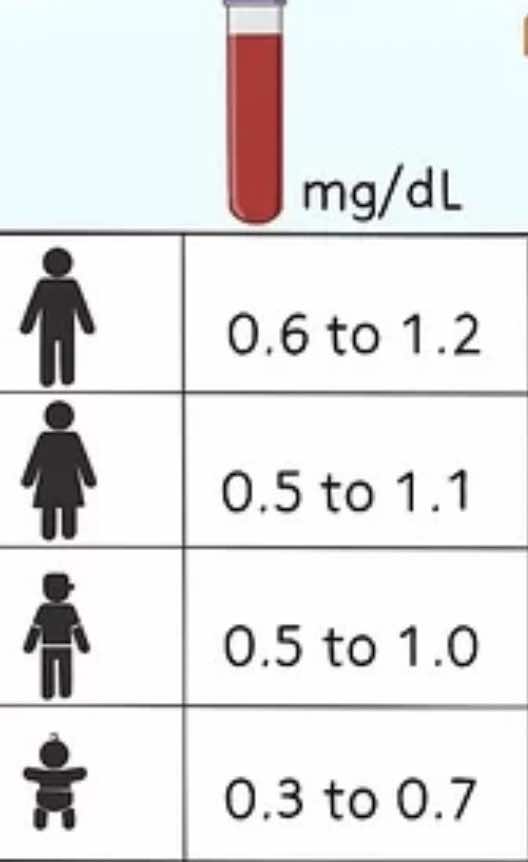 المستوى الطبيعي لتحليل الكرياتينين في الدم في الرجال والنساء والمراهقين والاطفال بالترتيب من أعلى لأسفل