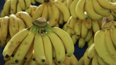 5 فوائد وضحها العلم لفاكهة الموز، منها صحة القلب والمساعدة على التخسيس