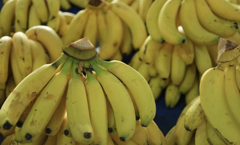 5 فوائد وضحها العلم لفاكهة الموز، منها صحة القلب والمساعدة على التخسيس