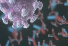 هل ظهر ما يوضح خطورة تحور اوميكرون؟ علماء جنوب افريقيا يجيبون