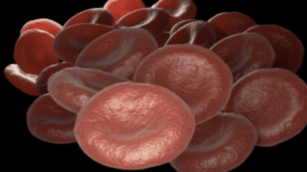 كريات الدم الحمراء التي تحوي الهيموجلوبين اللازم لتوصيل الأكسجين للخلايا - انيميا نقص الحديد elements.envato
