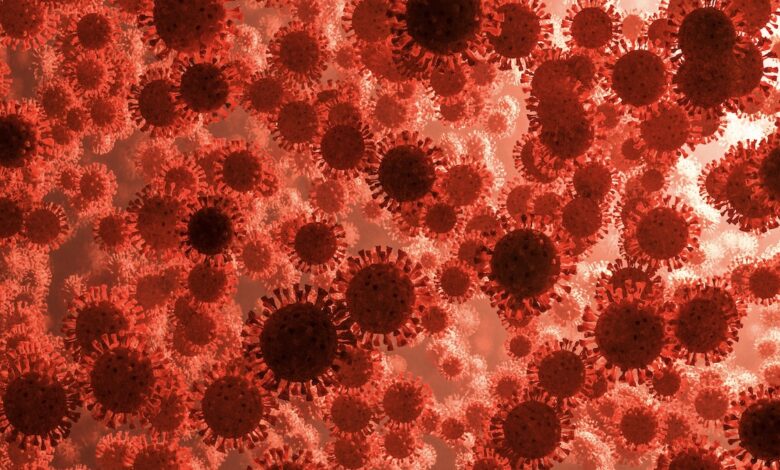 اوروبا تواجه موجة وبائية فيروسية مزدوجة 