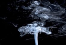 كيف يختلف تأثير تدخين الحشيش عن تدخين السجائر؟ - دراسة