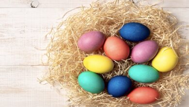 4 طرق لتحديد مخزون البويضات في المبيضين؟ فرص الحمل والخصوبة