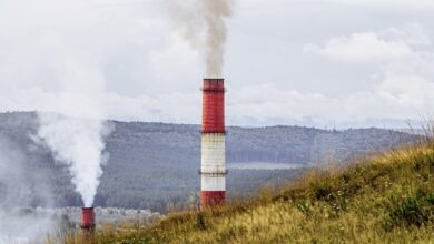 التلوث يقتل 9 مليون شخص سنويا، وتقرير علمي يوضح القارة الأكثر تأثرا