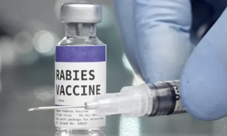 تطعيم السعار (داء الكلب) متى يكون قد فات أوانه؟ وما الحيوانات التي لا تنقل العدوى؟